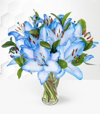 Blue Oriental Lilies