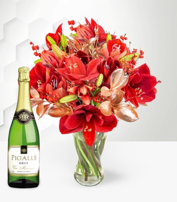 Christmas Amaryllis and Sparkling Wine