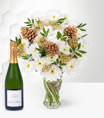 Christmas Chrysanthemums with Champagne