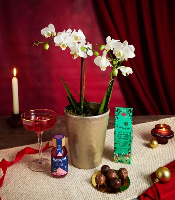 Christmas Orchid Gift Set