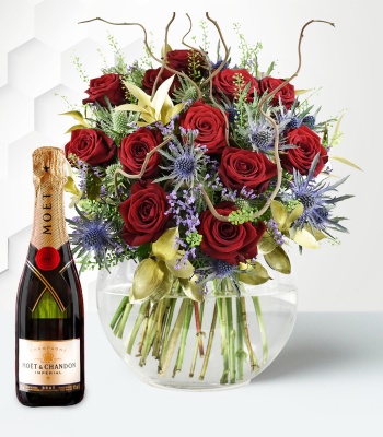 Christmas Red Roses and Moet