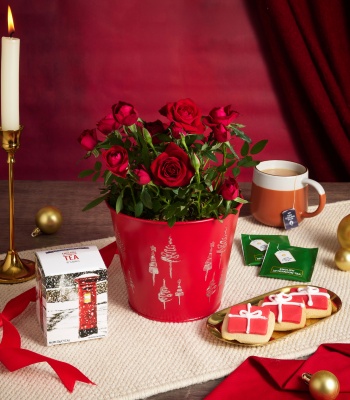 Christmas Roses and Tea Gift Set