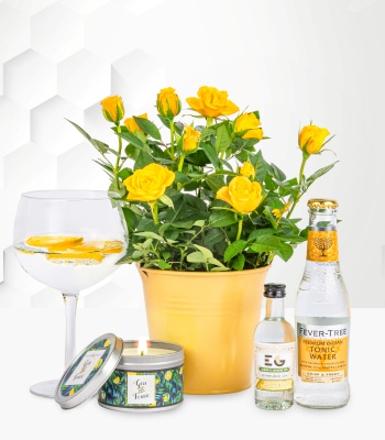 Christmas Yellow Roses Plant and Gin