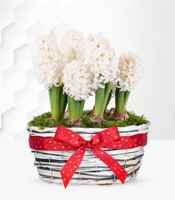 Hyacinth Basket