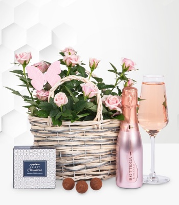 Pink Rose Plant With Bottega Rose Prosecco Bottle