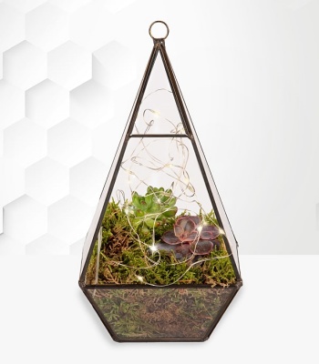 Rhombus Terrarium Planter