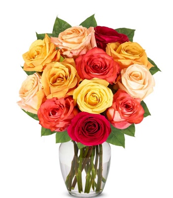 12 Mix Color Roses