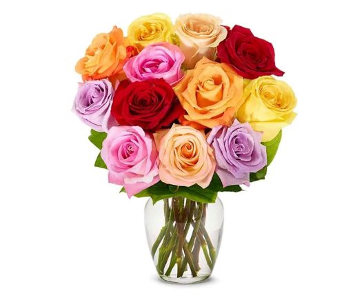 12 Rainbow Roses - Free Glass Vase