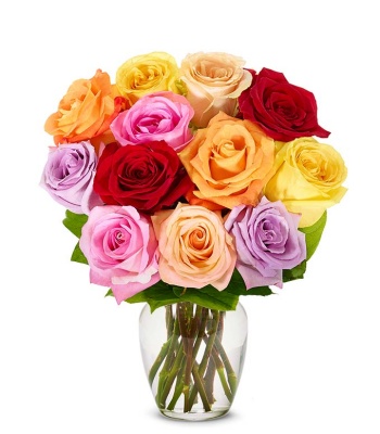 12 Rainbow Roses