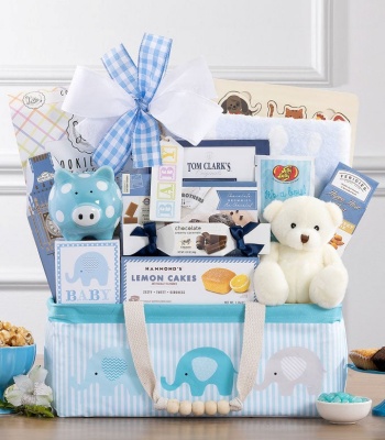 Baby Boy Gift Basket