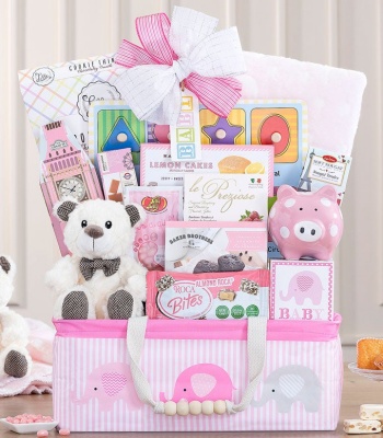 Baby Girl Gift Basket Pink