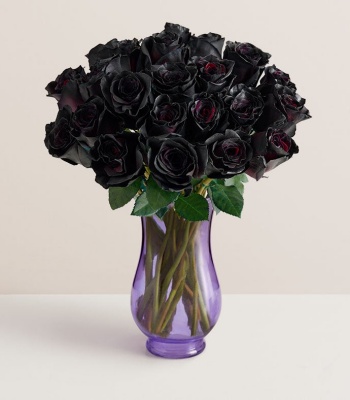 Black Roses