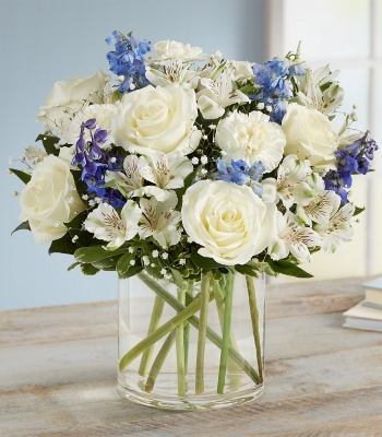 Blue and White Flowers