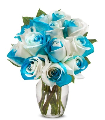 Blue and White Roses - One Dozen