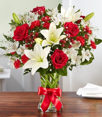 Christmas Red and White Flowers in Vase