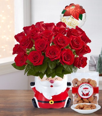 Christmas Red Roses