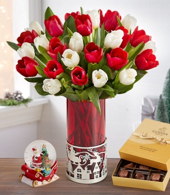 Christmas Tulips