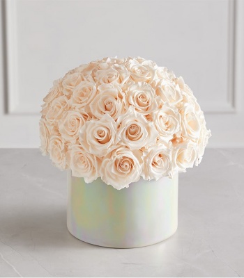 Cream Colored Roses