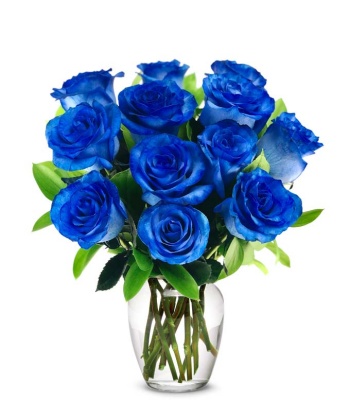 Dozen Blue Roses