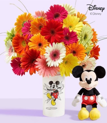 Gerbera Daisies with Mickey Mouse and Minnie Mouse in Love Vase