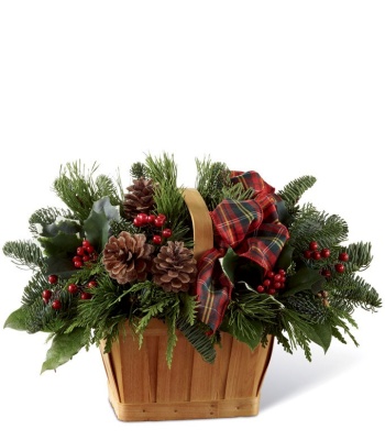 Holly and Evergreens in Keepsake Basket