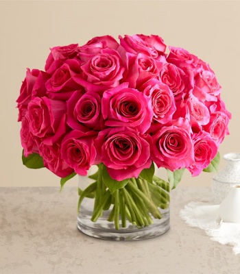 Hot Pink Roses in Cylinder Vase