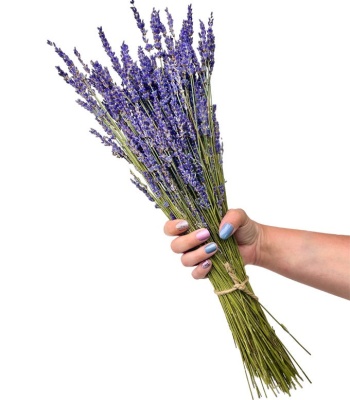 Lavender Flower Bouquet