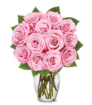 Light Pink Roses