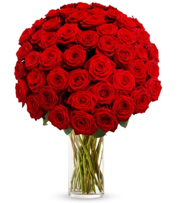 Long Stemmed Red Roses - 50 Stems