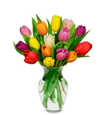 Mix Tulips - 15 Stems