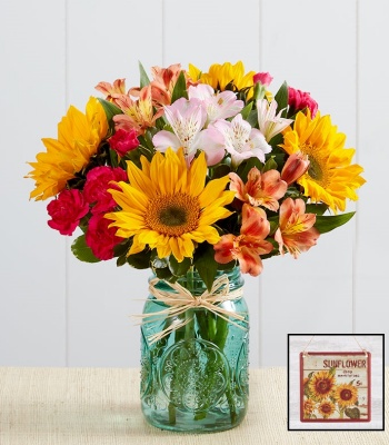 Mixed Bouquet of Sunflowers