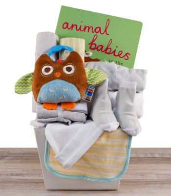 New Baby Gift Basket - Owl