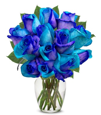 One Dozen Dyed Blue Roses