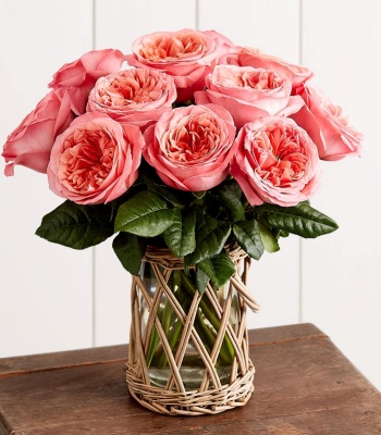 One Dozen Pink Roses