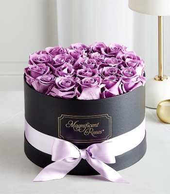 Preserved Lavender Roses in Hat Box