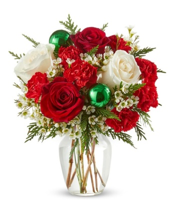 Red and White Christmas Flowers