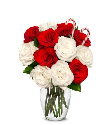 Red and White Roses