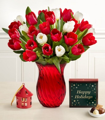 Red and White Tulips