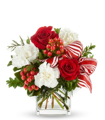 Red Roses and White Carnations in Vase