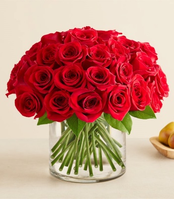 Red Roses in Cylinder Vase