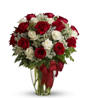 Red And White Long Stem Roses