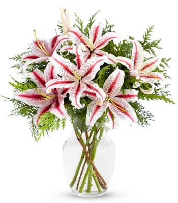 Striped Stargazer Lily Bouquet