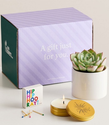 Succulent Gift Box