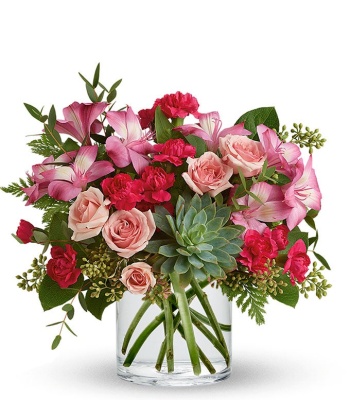 Succulent Plant With Pink Roses