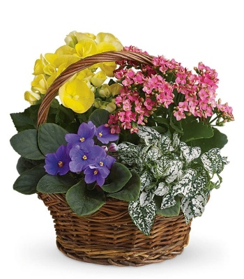 Summer Flowers Basket