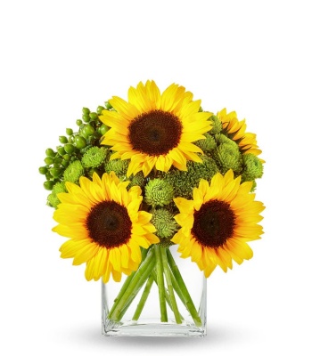 Sunflowers in Vase