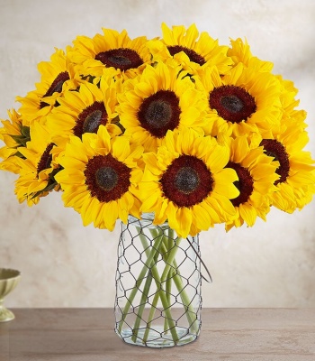 Sunflowers with Ross-Simons Bee Necklace