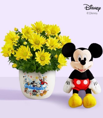 Yellow Daisy Flowers with Disney Character