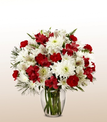 Christmas Flowers - Red and White Flowers