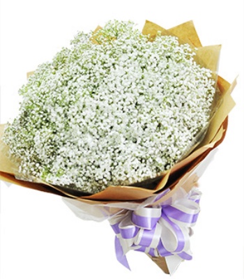 Baby breath Flower Bouquet